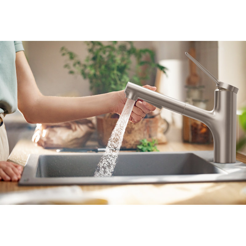 Hansgrohe Zesis Pull Out Kitchen Faucet & Reviews | Wayfair